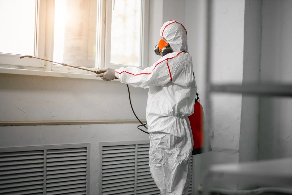 Professional mold remediation services in Lake Alfred, FL